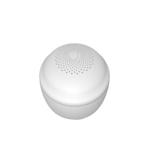 GS156-Water Alarm